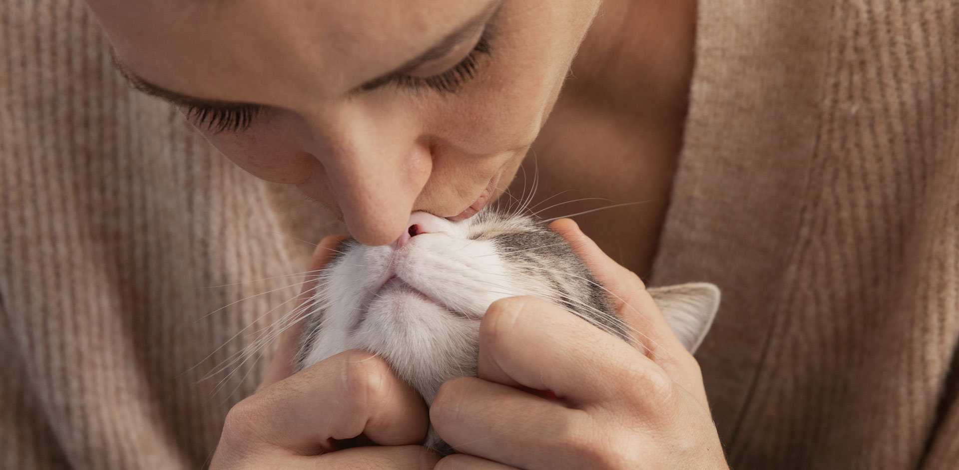 太阳网集团tcy8722